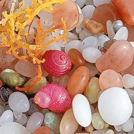 Summer House - Sa Murta 公寓 托里格兰德