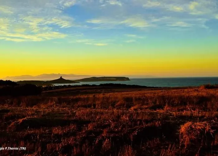 Summer House - Sa Murta *