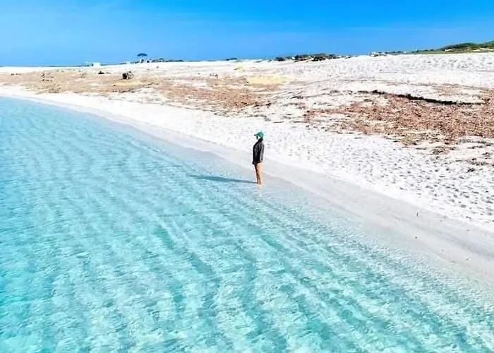 Summer House - Sa Murta 托里格兰德