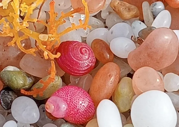 Summer House - Sa Murta 公寓 托里格兰德