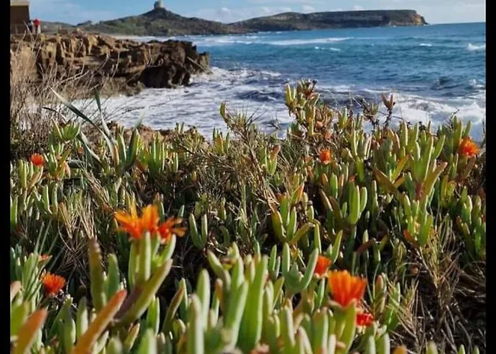 Summer House - Sa Murta *